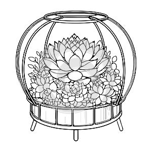 Symmetrical black outline of a round glass cloche featuring a single echeveria on a spherical metal base